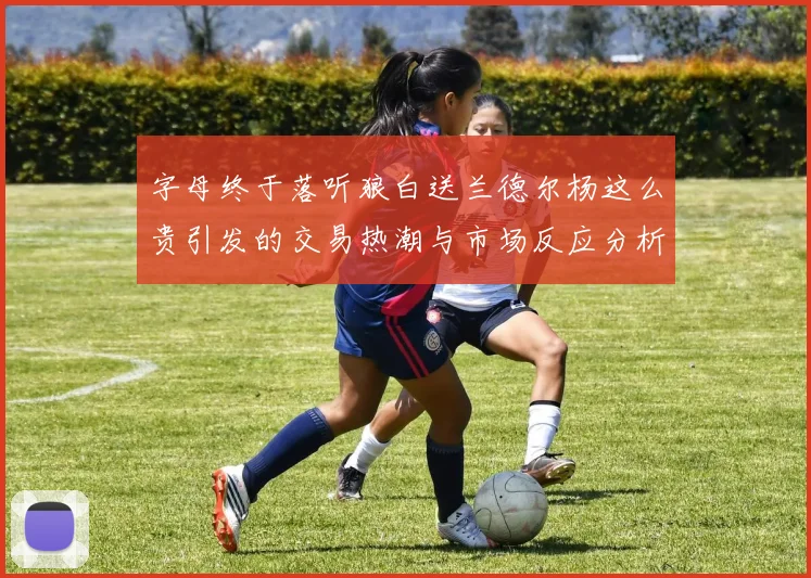 字母终于落听狼白送兰德尔杨这么贵引发的交易热潮与市场反应分析