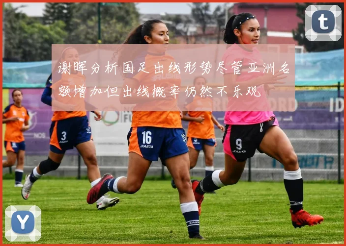 谢晖分析国足出线形势尽管亚洲名额增加但出线概率仍然不乐观